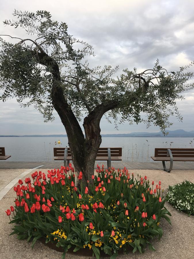 Caba Holiday Bardolino D'Annunzio ภายนอก รูปภาพ